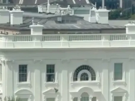 White House: Bag Toss Sparks Debate Over Reality or AI Hoax